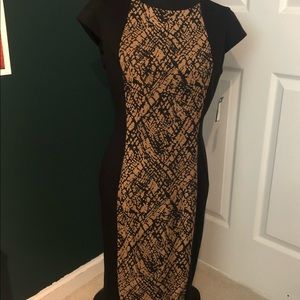 NWT Jones New York Sheath Dress Sz10